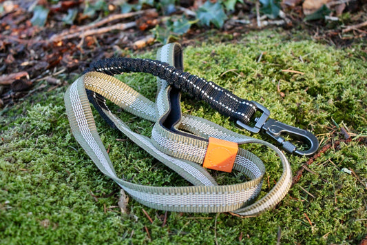 Laisse Amortisseur Strong Adventure - Vert Olive 🌿