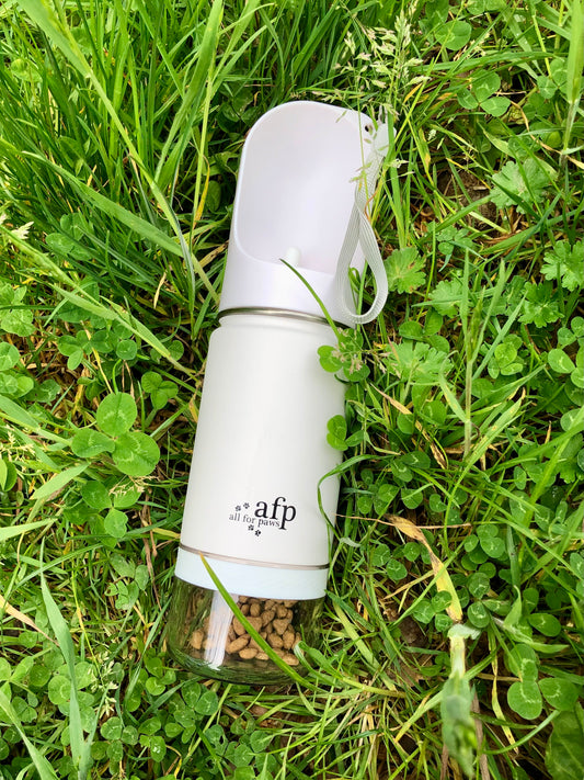 La Soif de l’Aventure – Gourde Isotherme 2-en-1 💧
