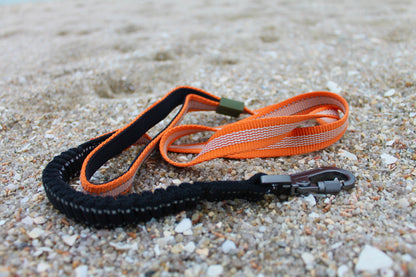 Kit Strong Adventure : Harnais + Collier + Laisse Amortisseur – Mandarine 🍊🏕