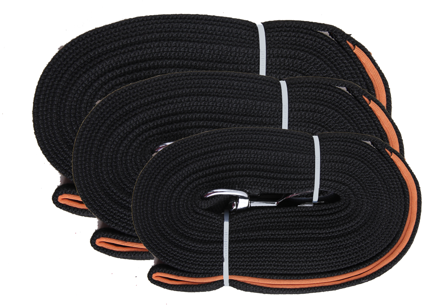 Longe d'Entraînement 5m, 10m, 15m