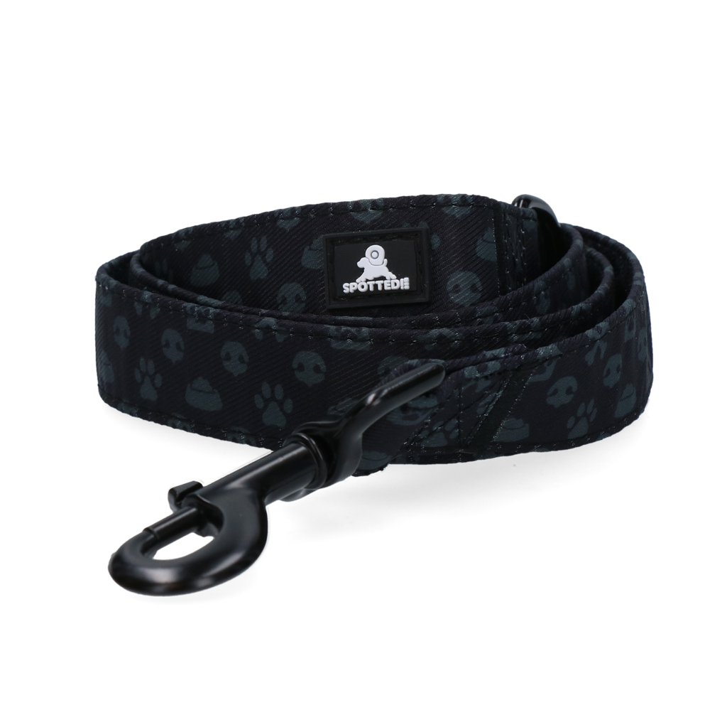 Laisse 120cm Spotted! Pro