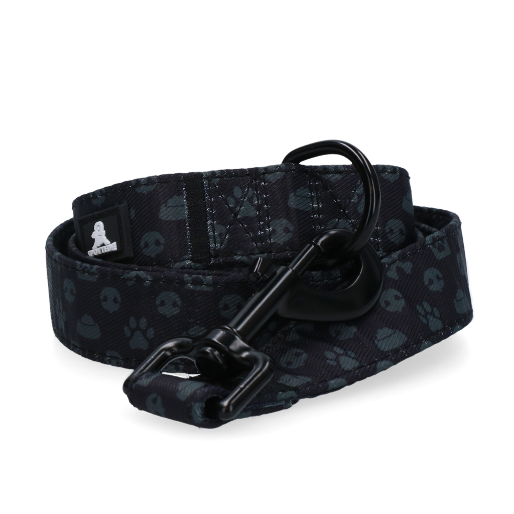 Laisse 120cm Spotted! Pro