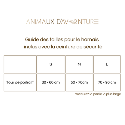 Harnais & Ceinture de Sécurité pour Chien en Voiture - en 3 tailles