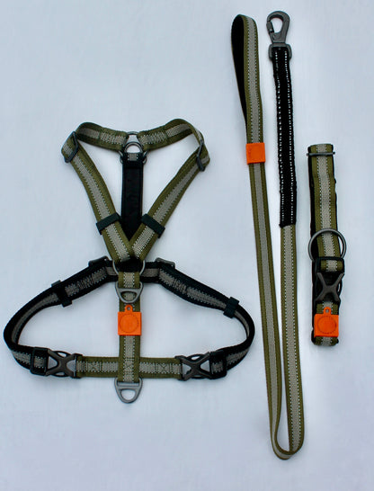 Kit Strong Adventure : Harnais + Collier + Laisse Amortisseur – Vert Olive 🌳