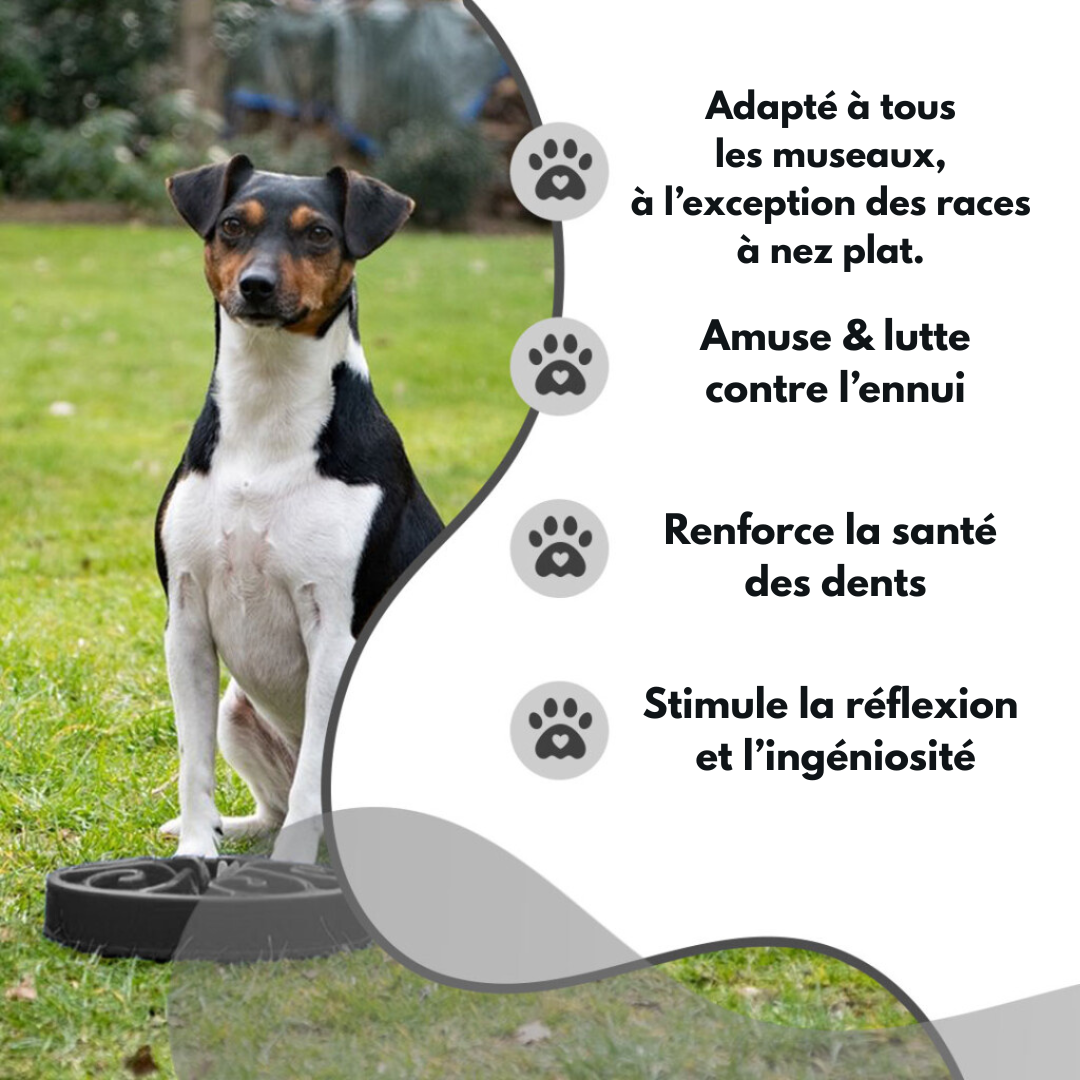 Gamelle Anti-Glouton - Taille L - Gris foncé