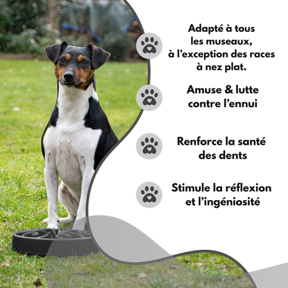 Gamelle Anti-Glouton - Taille L - Gris foncé